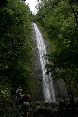 2008-01-05-Hawaii-Manoa-Falls-29-Livia.JPG