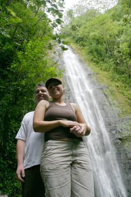 2008-01-05-Hawaii-Manoa-Falls-33-Bill-Livia.jpg