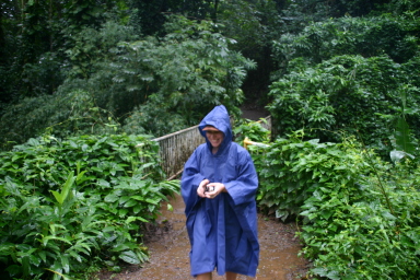 2008-01-05-Hawaii-Manoa-Falls-41-Livia.JPG