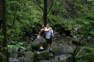 2008-01-05-Hawaii-Manoa-Falls-49-Livia-Bill.JPG