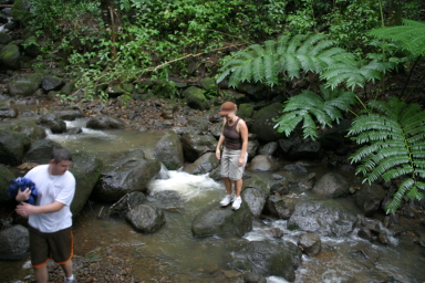 2008-01-05-Hawaii-Manoa-Falls-52.JPG
