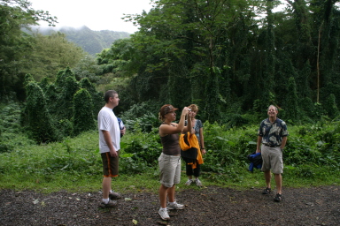 2008-01-05-Hawaii-Manoa-Falls-61-Bill-Livia.JPG