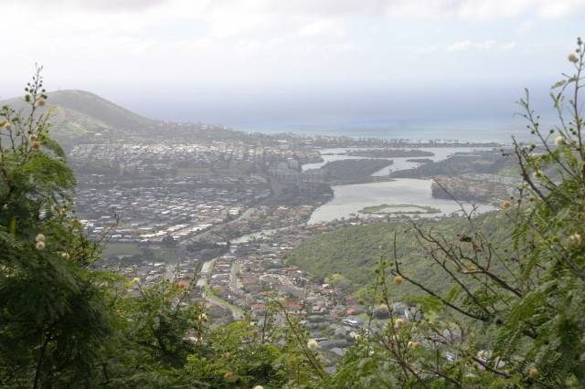 2008/01(January)/Hawaii/Jan05/2-Boys-ranch-hike/640x480_2008-01-05-Hawaii-Boys-Ranch-38.JPG