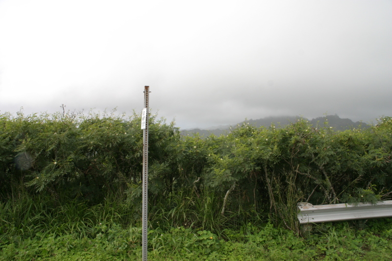 2008/01(January)/Hawaii/Jan05/2-Boys-ranch-hike/800x600_2008-01-05-Hawaii-Boys-Ranch-03.JPG