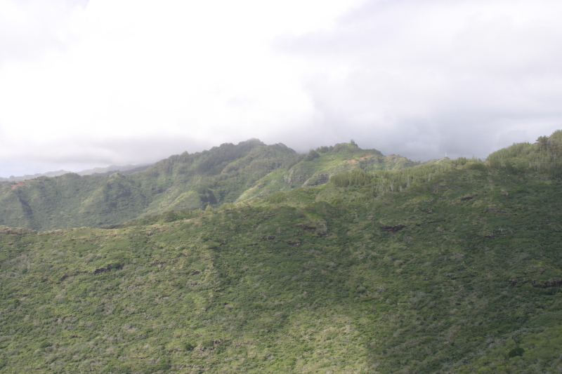 2008/01(January)/Hawaii/Jan05/2-Boys-ranch-hike/800x600_2008-01-05-Hawaii-Boys-Ranch-39.JPG