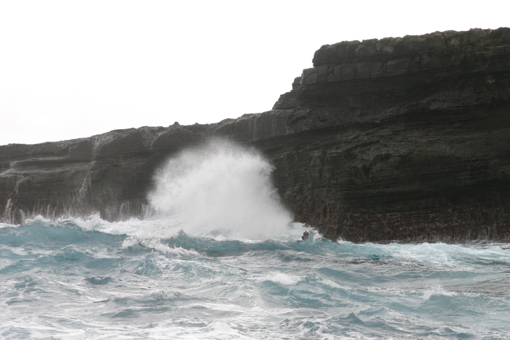 2008-01-05-Hawaii-Lava-Tube-26.JPG