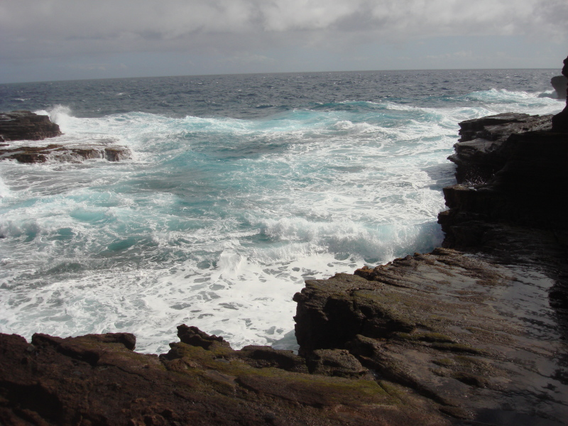 2008-01-05-Hawaii-Lava-Tube-35.JPG