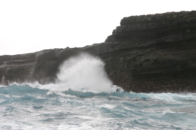 2008-01-05-Hawaii-Lava-Tube-26.JPG