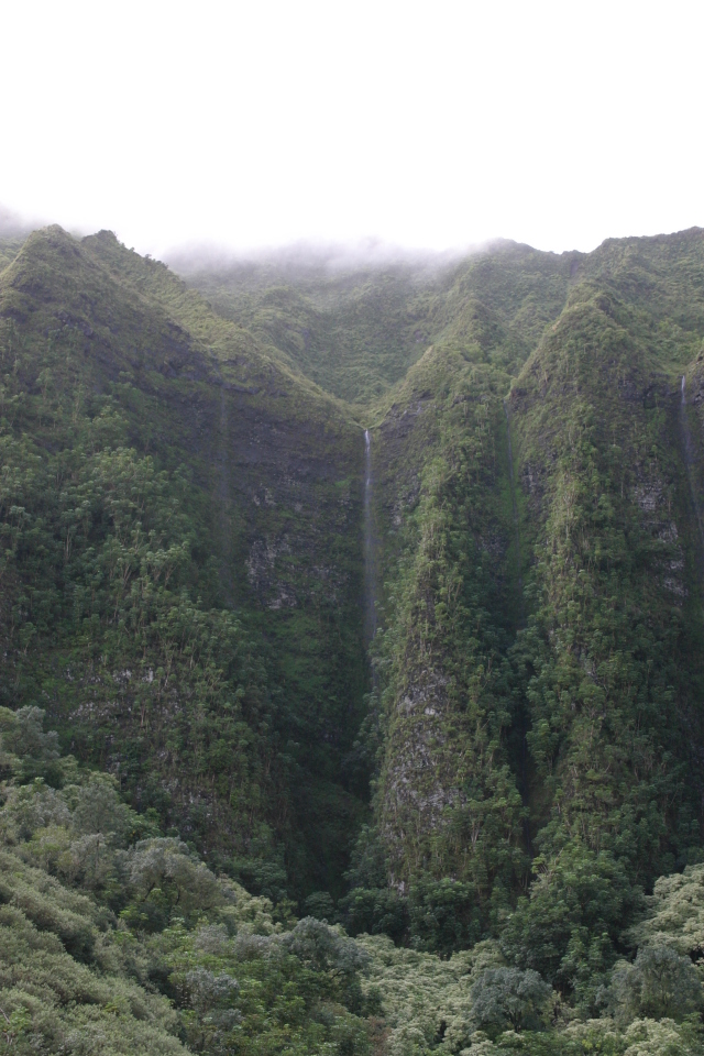 2008-01-06-Hawaii-driving-tour-07-waterfall-GOOD.JPG