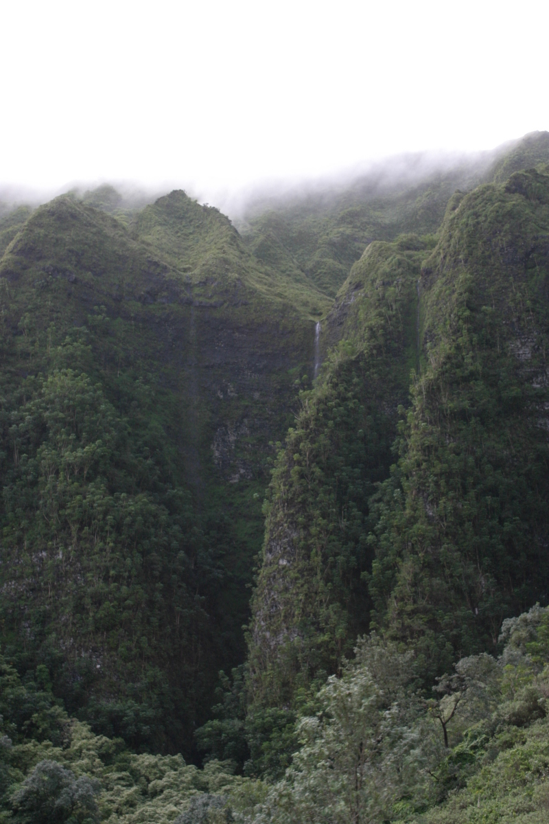 2008-01-06-Hawaii-driving-tour-06-waterfall.JPG