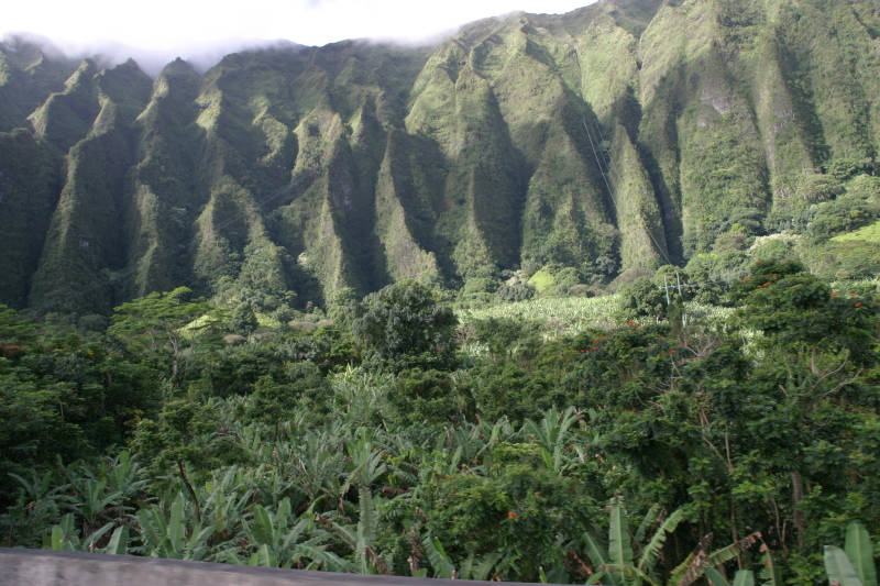 2008-01-06-Hawaii-driving-tour-10.JPG
