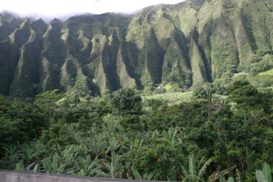 2008-01-06-Hawaii-driving-tour-10.JPG