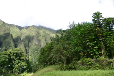 2008-01-06-Hawaii-driving-tour-11.JPG