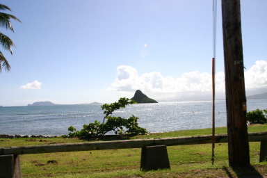 2008-01-06-Hawaii-driving-tour-13.JPG