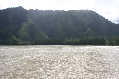 2008-01-06-Hawaii-driving-tour-16.JPG