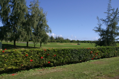 2008-01-06-Hawaii-driving-tour-18-golf-course.JPG