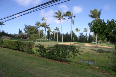 2008-01-06-Hawaii-driving-tour-19-golf-course.JPG