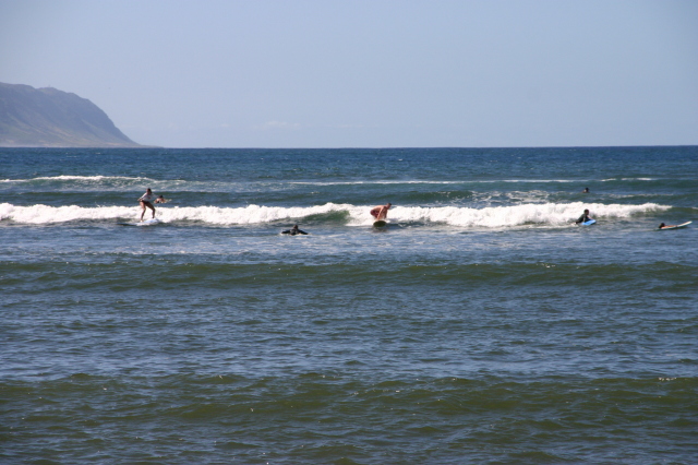 2008/01(January)/Hawaii/Jan06/3-Surfing/640x480_2008-01-06-Hawaii-surfing-23-Bill-1st-attempt-ever.JPG
