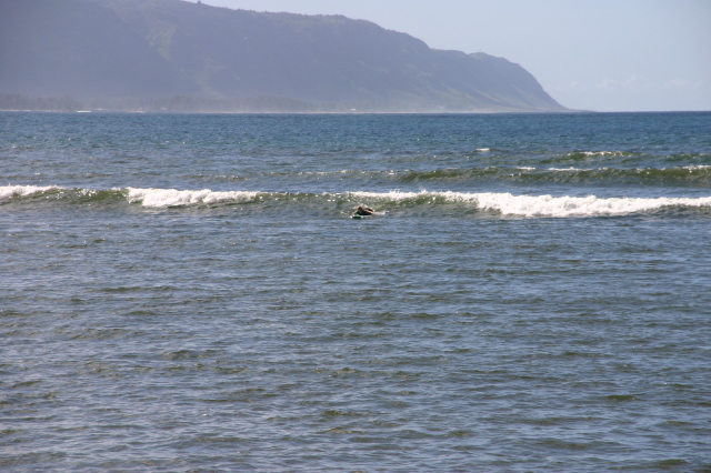 2008/01(January)/Hawaii/Jan06/3-Surfing/640x480_2008-01-06-Hawaii-surfing-61-Livia.JPG