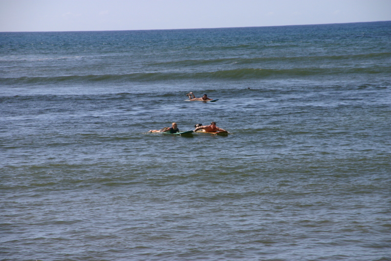 2008/01(January)/Hawaii/Jan06/3-Surfing/800x600_2008-01-06-Hawaii-surfing-67-Livia-Mike.JPG