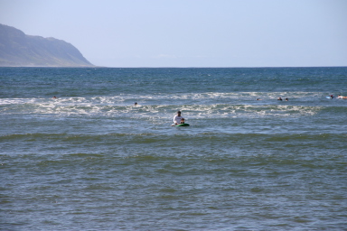 2008-01-06-Hawaii-surfing-16-father-son-pair.JPG