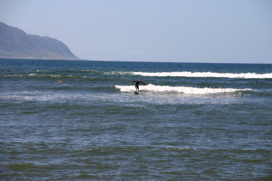 2008-01-06-Hawaii-surfing-19-Travis-1st-attempt-ever.JPG