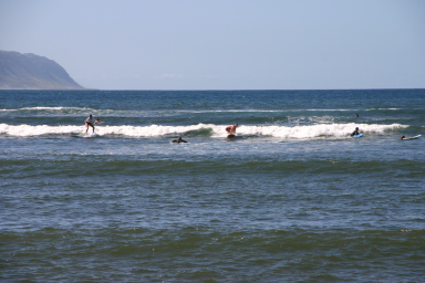 2008-01-06-Hawaii-surfing-23-Bill-1st-attempt-ever.JPG