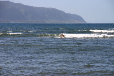2008-01-06-Hawaii-surfing-28-Bill.JPG