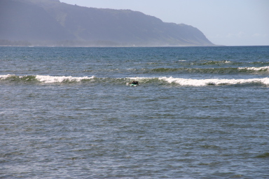 2008-01-06-Hawaii-surfing-62-Livia-1st-attempt.JPG