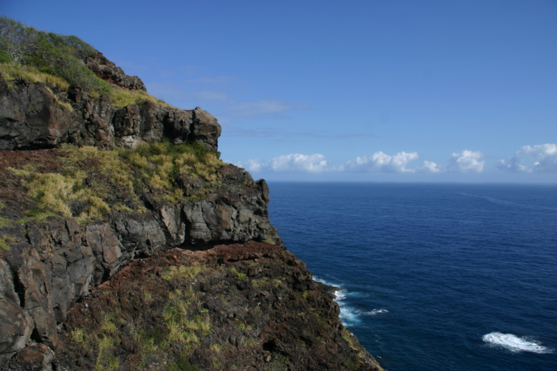 2008/01(January)/Hawaii/Jan07/Livias-Day-Out/800x600_2008-01-07-Hawaii-05-Livia-day-out.JPG