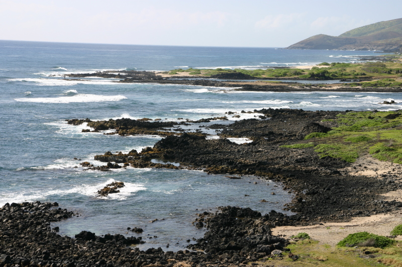 2008/01(January)/Hawaii/Jan07/Livias-Day-Out/800x600_2008-01-07-Hawaii-33-Livia-day-out.JPG