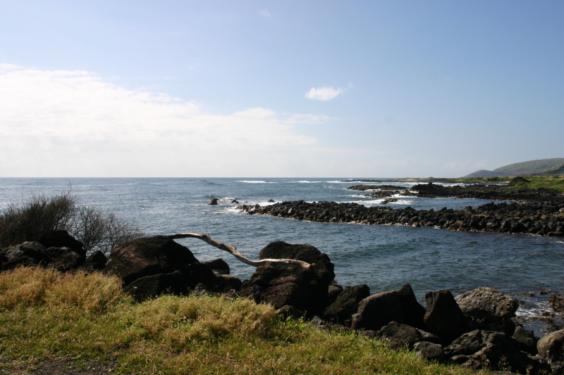 2008/01(January)/Hawaii/Jan07/Livias-Day-Out/800x600_2008-01-07-Hawaii-34-Livia-day-out.JPG