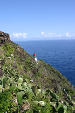 2008-01-07-Hawaii-07-Livia-day-out-Lighthouse.JPG