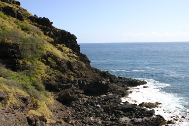 2008-01-07-Hawaii-28-Livia-day-out.JPG