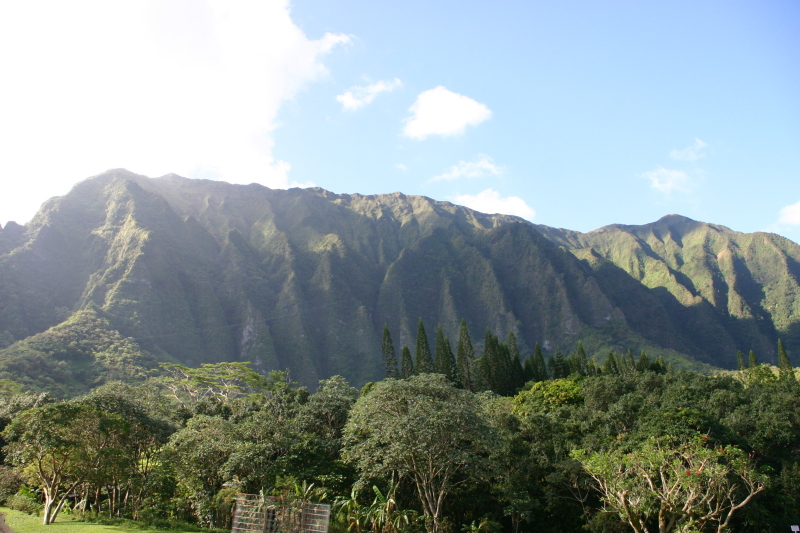 2008/01(January)/Hawaii/Jan08/Livias-Day-Out/800x600_2008-01-08-Hawaii-03-Livia-day-out.JPG