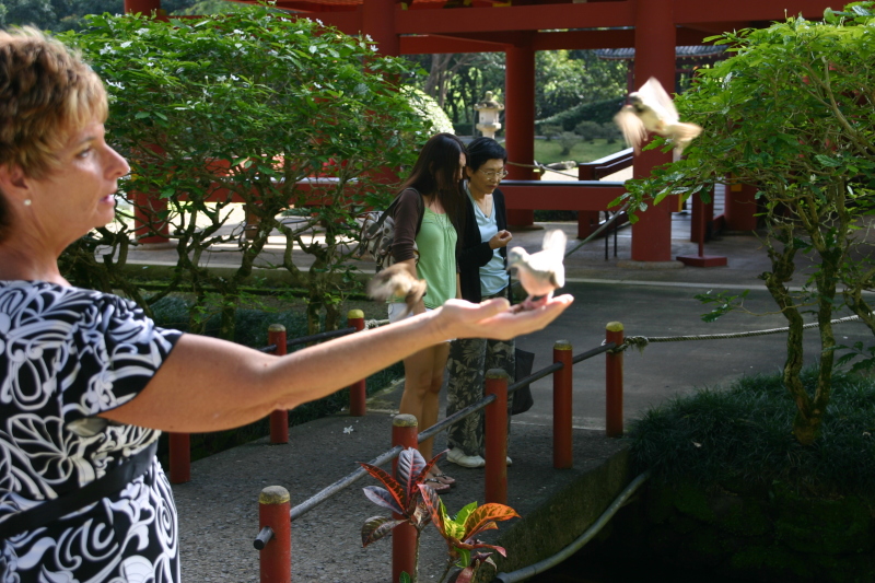 2008/01(January)/Hawaii/Jan08/Livias-Day-Out/800x600_2008-01-08-Hawaii-27-Livia-day-out.JPG