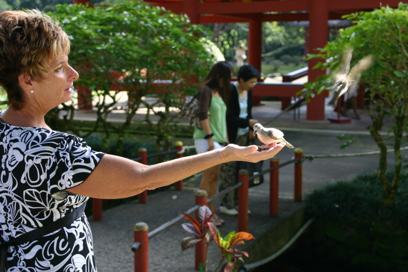 2008/01(January)/Hawaii/Jan08/Livias-Day-Out/800x600_2008-01-08-Hawaii-30-Livia-day-out.JPG