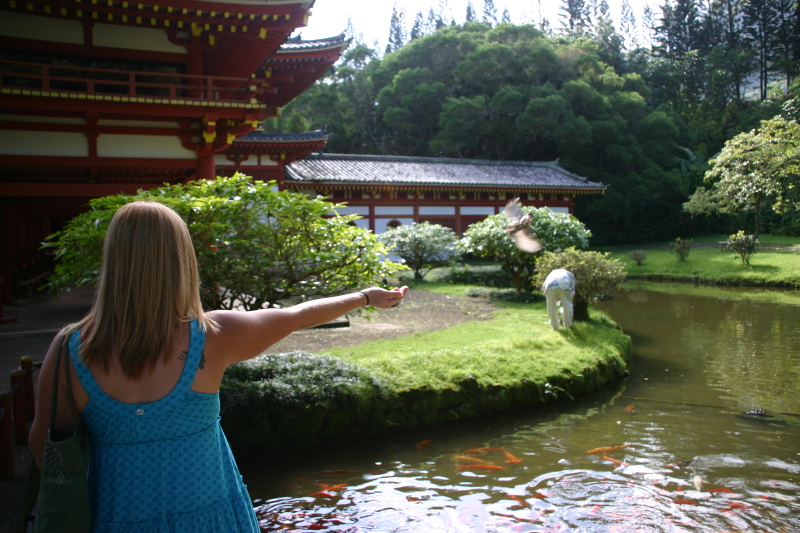 2008/01(January)/Hawaii/Jan08/Livias-Day-Out/800x600_2008-01-08-Hawaii-33-Livia-day-out.JPG