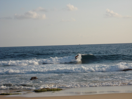 2008-01-08-Hawaii-03-Sandy-Beach.JPG