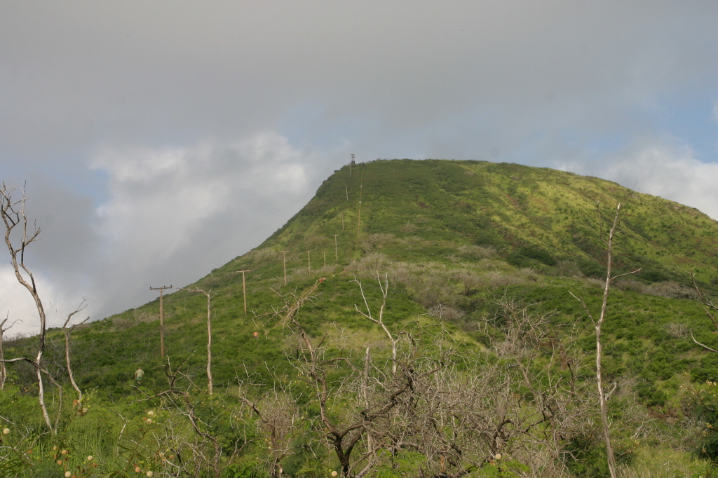 2008/01(January)/Hawaii/Jan09/1024x768_2008-01-09-Hawaii-KoKo-Crater-03.JPG
