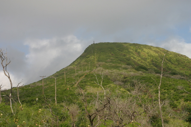 2008-01-09-Hawaii-KoKo-Crater-03.JPG