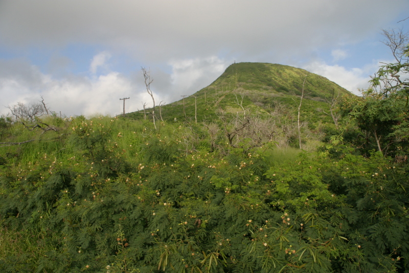 2008-01-09-Hawaii-KoKo-Crater-02.JPG