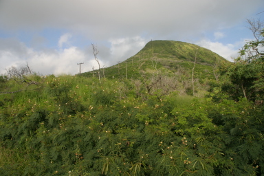 2008-01-09-Hawaii-KoKo-Crater-02.JPG