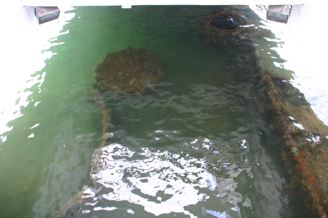2008-01-11-Hawaii-Pearl-Harbor-17-USS-Arizona.JPG