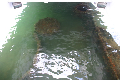 2008-01-11-Hawaii-Pearl-Harbor-17-USS-Arizona.JPG