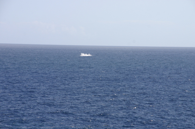 2008-01-11-Hawaii-Lighthouse-Road-41-whale-splash-GOOD.JPG