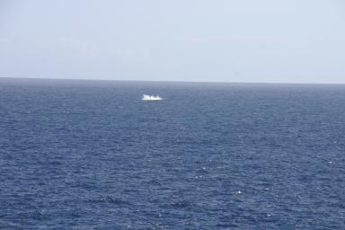 2008-01-11-Hawaii-Lighthouse-Road-41-whale-splash-GOOD.JPG
