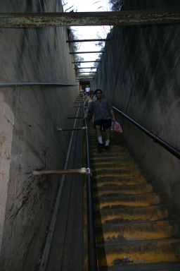 2008-01-11-Hawaii-Diamond-Head-Crater-06-stairs.JPG