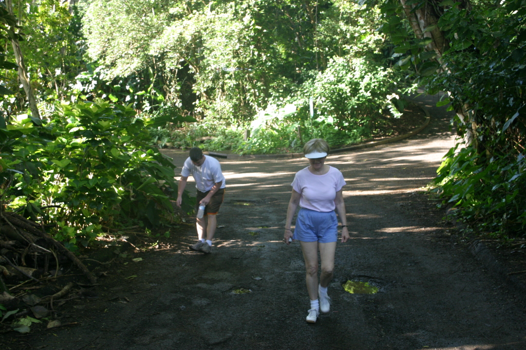 2008/01(January)/Hawaii/Jan12/1-Manoa-Falls/1024x768_2008-01-12-Hawaii-Manoa-Trail-02-Bill-Juanita.JPG