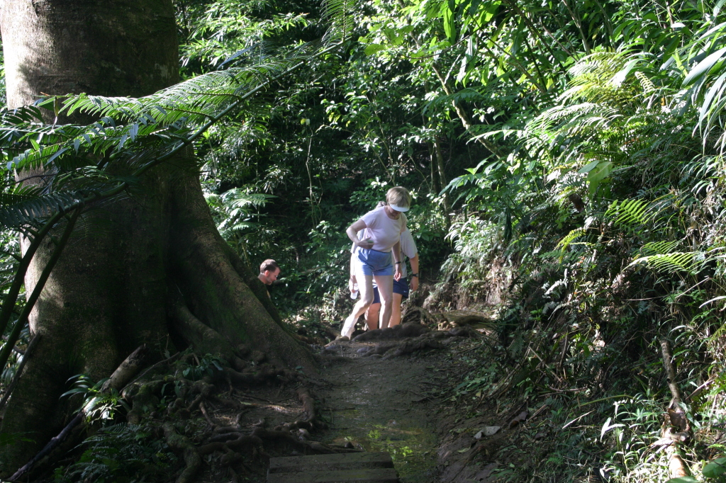 2008/01(January)/Hawaii/Jan12/1-Manoa-Falls/1024x768_2008-01-12-Hawaii-Manoa-Trail-09-Rob-Juanita.JPG